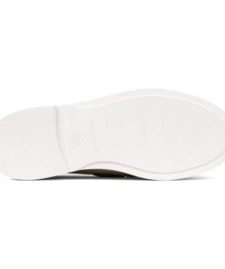 Vergewear.shop157f464f92 5