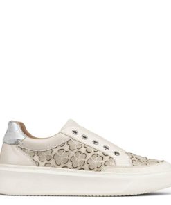 Vergewear.shop762969a2da 1